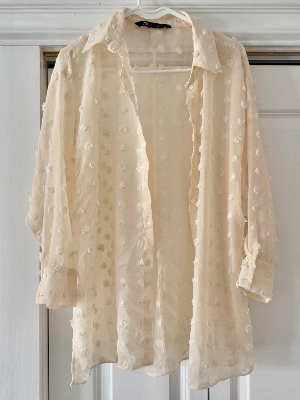 Zara Sheer Ivory Textured Dot Button-Down Shirt | Small